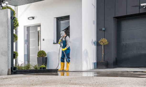 Best Gutter Cleaning and Brightening in Brenham, TX